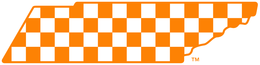 Tennessee Volunteers 2015-Pres Secondary Logo iron on transfers for T-shirts